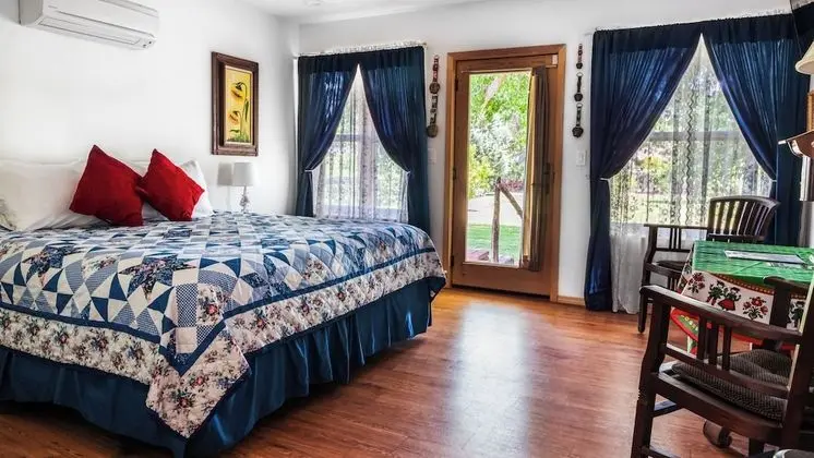 Premium Tek Büyük Yataklı Oda, 1 Yatak Odası, Engellilere Uygun (Heritage, Pet Friendly)