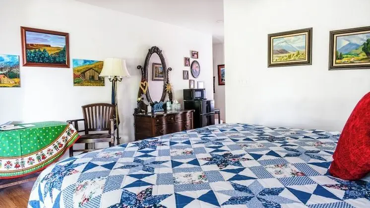 Premium Tek Büyük Yataklı Oda, 1 Yatak Odası, Engellilere Uygun (Heritage, Pet Friendly)