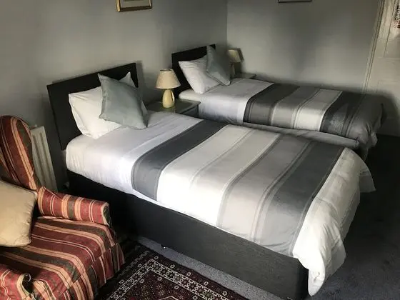 Deluxe İki Ayrı Yataklı Oda, Banyolu/Duşlu