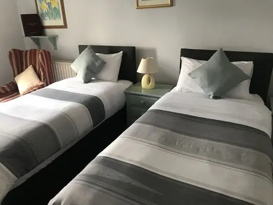 Deluxe İki Ayrı Yataklı Oda, Banyolu/Duşlu