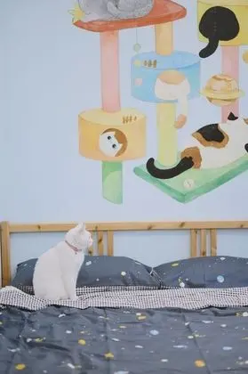 Dört Kişilik Oda