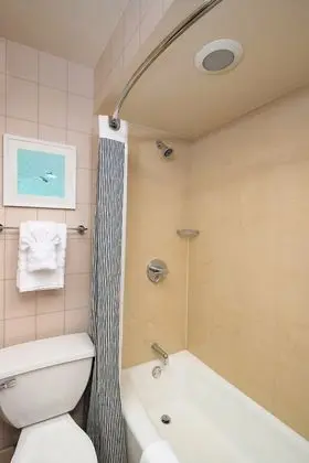 Premium Oda, 2 Büyük (Queen) Boy Yatak, Buzdolabı ve Mikrodalga, Park Manzaralı