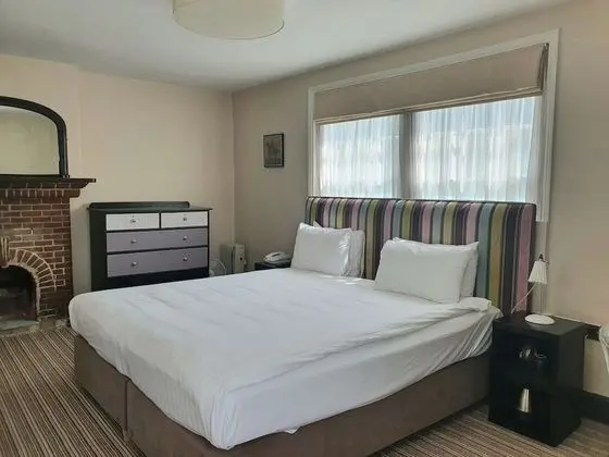 Deluxe Tek Büyük Yataklı Oda, Banyolu/Duşlu (Royal Rooms)