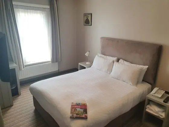 Tek Büyük Yataklı Oda, Banyolu/Duşlu (Regency Rooms)