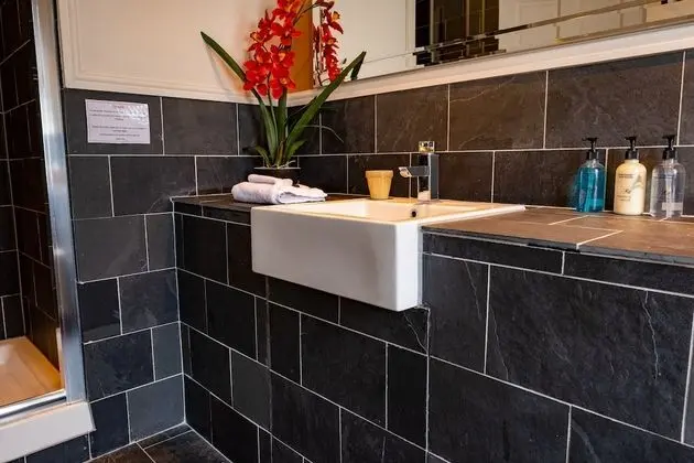 Luxury Tek Büyük Yataklı Oda, Banyolu/Duşlu (Room 1)