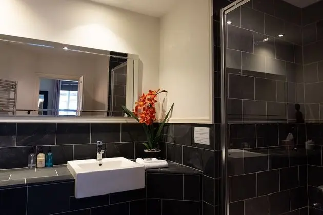 Superior Tek Büyük Yataklı Oda, Banyolu/Duşlu (Room 2)