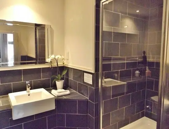 Superior Tek Büyük Yataklı Oda, Banyolu/Duşlu (Room 2)