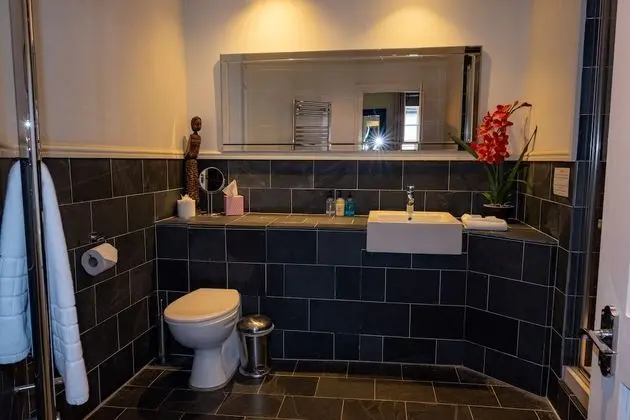 Superior Tek Büyük Yataklı Oda, Banyolu/Duşlu (Room 2)