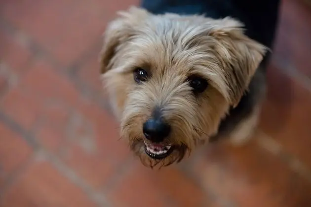 Tek Büyük Yataklı Oda, Banyolu/Duşlu