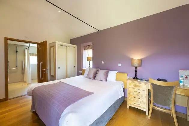 Tek Büyük Yataklı Oda, Banyolu/Duşlu