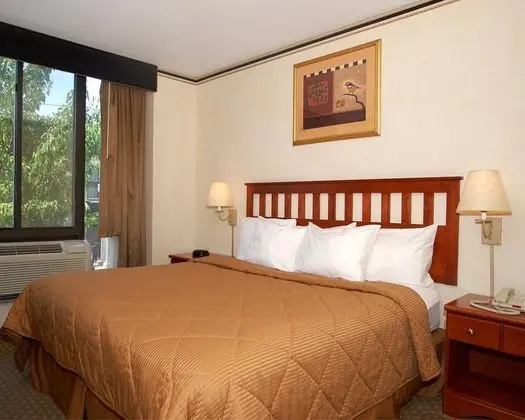 1 Çift ​​kişilik Yatak King Size Bed