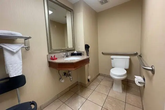 Engellilere uygun banyo