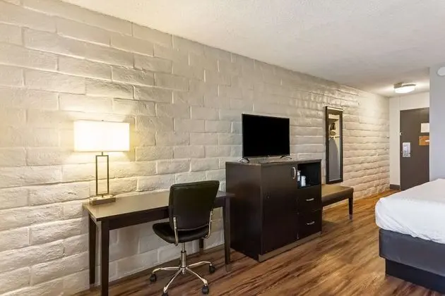 Oda, 1 En Büyük (King) Boy Yatak (Pet Friendly)