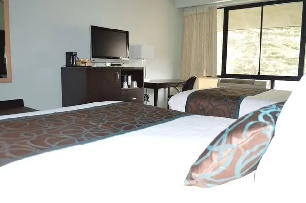 Oda, 2 Büyük (Queen) Boy Yatak (Pet Friendly)