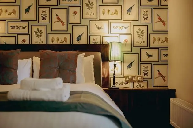 Tek Büyük Yataklı Oda, 1 Çift Kişilik Yatak