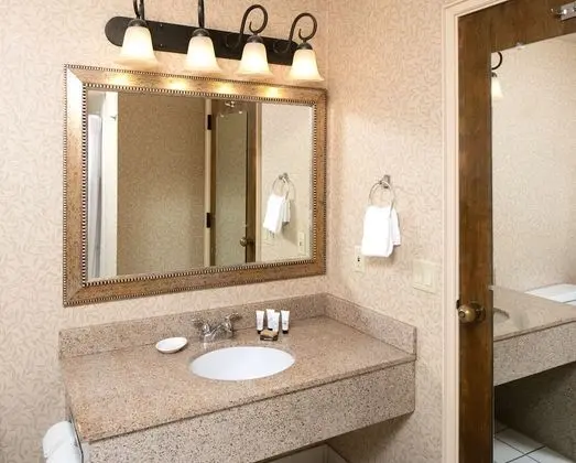 Premium Oda, 2 Büyük (Queen) Boy Yatak, Havuz Manzaralı