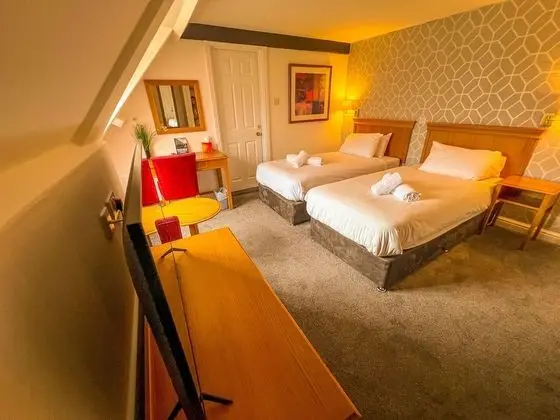 Deluxe İki Ayrı Yataklı Oda, Banyolu/Duşlu (or Shower)