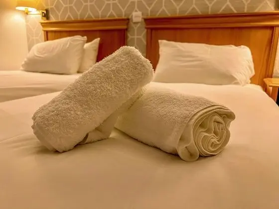 Deluxe İki Ayrı Yataklı Oda, Banyolu/Duşlu (or Shower)