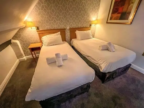 Deluxe İki Ayrı Yataklı Oda, Banyolu/Duşlu (or Shower)