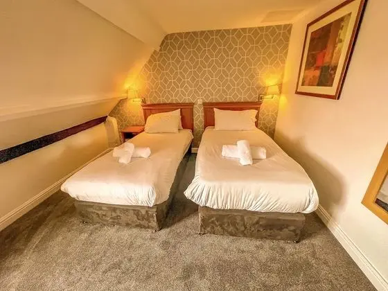 Deluxe İki Ayrı Yataklı Oda, Banyolu/Duşlu (or Shower)