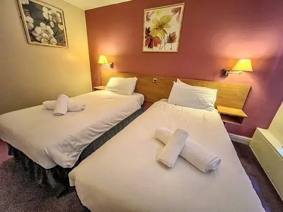 Deluxe İki Ayrı Yataklı Oda, Banyolu/Duşlu (or Shower)