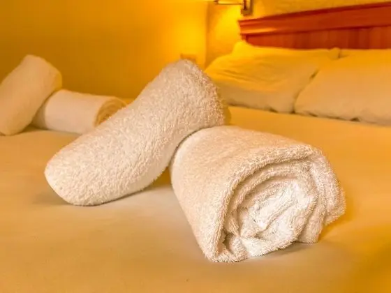 Deluxe Tek Büyük Yataklı Oda, Banyolu/Duşlu (or Shower)
