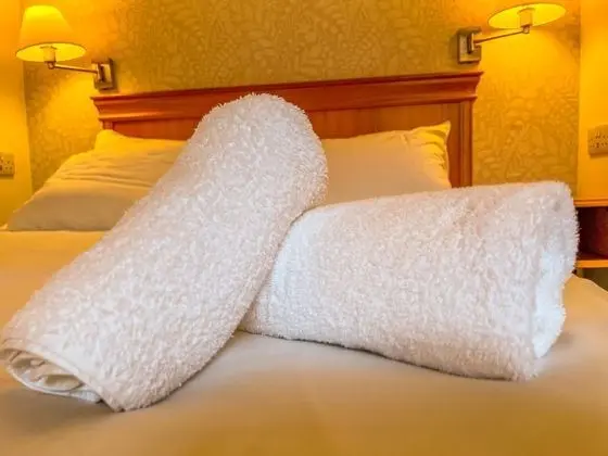 Deluxe Tek Büyük Yataklı Oda, Banyolu/Duşlu (or Shower)