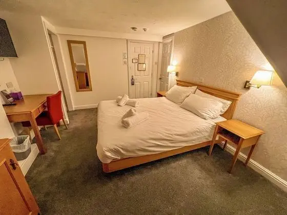 Deluxe Tek Büyük Yataklı Oda, Banyolu/Duşlu (or Shower)