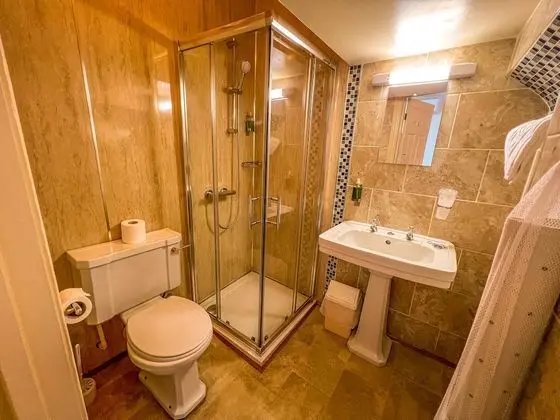 Deluxe Tek Büyük Yataklı Oda, Banyolu/Duşlu (or Shower)