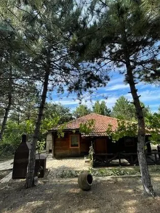 Gürcü Ev