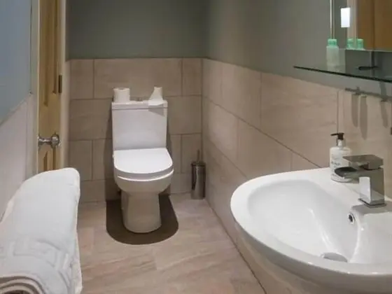 Luxury Tek Büyük Yataklı Oda, Banyolu/Duşlu, Zemin Kat