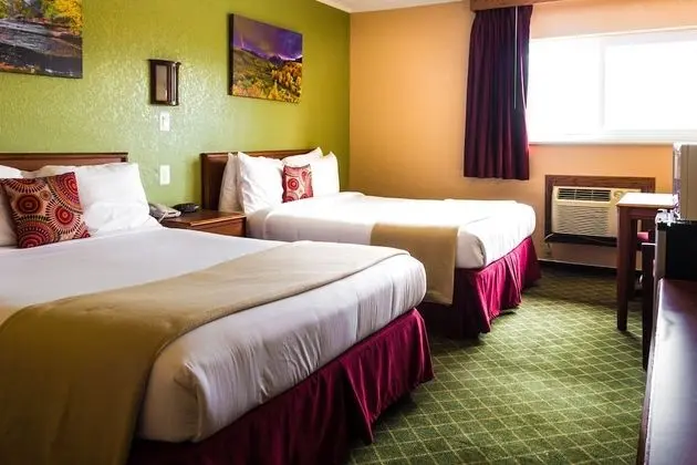 Basic Oda, 2 Büyük (Queen) Boy Yatak