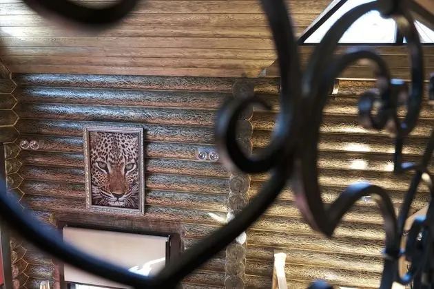 Design Dağ Evi