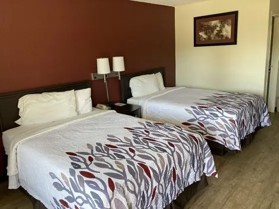 Deluxe Oda, 2 Çift Kişilik Yatak, Sigara İçilebilir