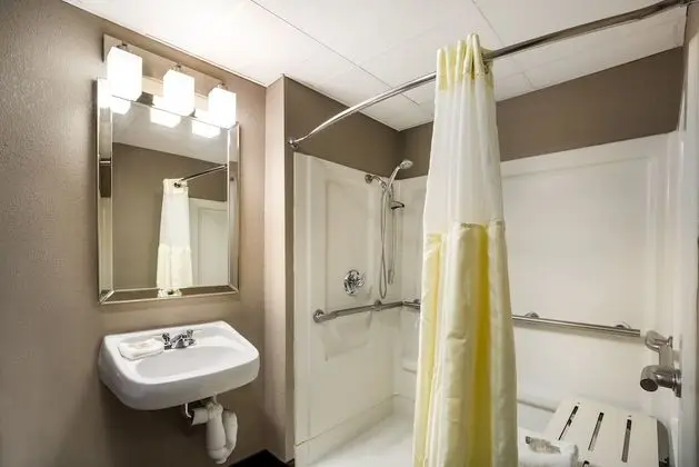 Deluxe Oda, 1 Büyük (Queen) Boy Yatak, Engellilere Uygun (Roll In Shower, Smoke Free)