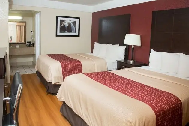 Deluxe Oda, 2 Çift Kişilik Yatak, Sigara İçilebilir