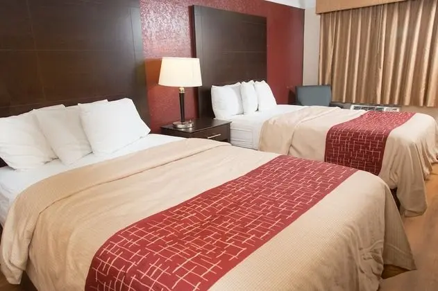 Deluxe Oda, 2 Çift Kişilik Yatak, Sigara İçilebilir