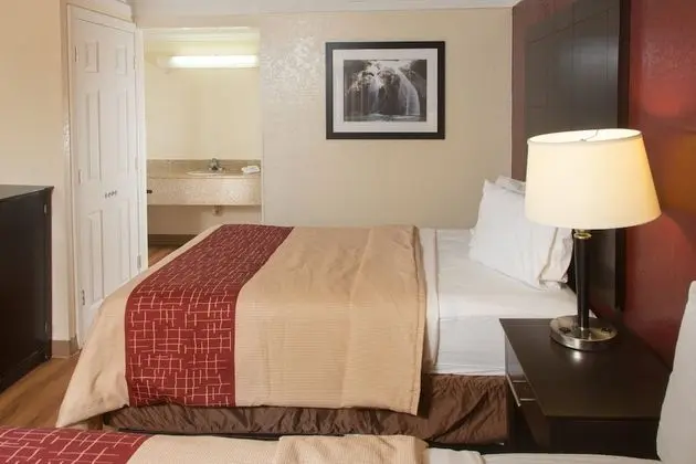 Deluxe Oda, 2 Çift Kişilik Yatak, Sigara İçilebilir