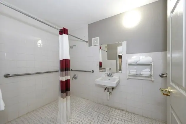 Deluxe Oda, 1 En Büyük (King) Boy Yatak, Engellilere Uygun, Sigara İçilmez (Roll In Shower)
