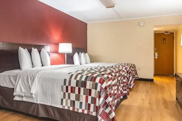 Deluxe Oda, 2 Çift Kişilik Yatak, Sigara İçilmez