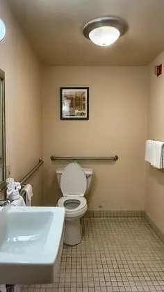 Engellilere uygun banyo