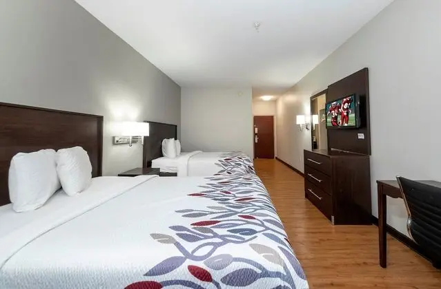 Deluxe Oda, 2 Çift Kişilik Yatak, Sigara İçilebilir