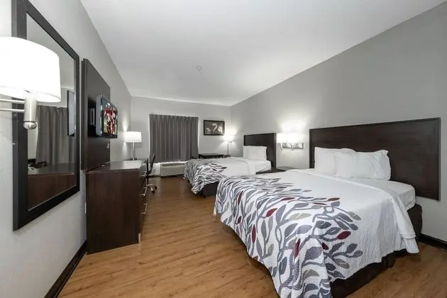 Deluxe Oda, 2 Çift Kişilik Yatak, Sigara İçilebilir