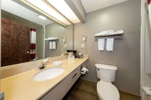 Deluxe Oda, 2 Çift Kişilik Yatak, Sigara İçilebilir
