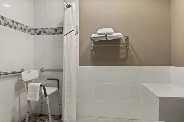 Deluxe Oda, 2 Çift Kişilik Yatak, Engellilere Uygun, Sigara İçilmez (Roll-In Shower)
