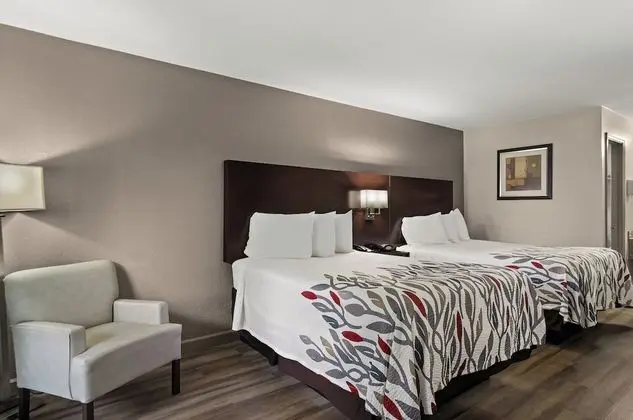 Deluxe Oda, 2 Çift Kişilik Yatak, Sigara İçilebilir