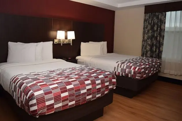 Deluxe Oda, 2 Çift Kişilik Yatak, Sigara İçilebilir