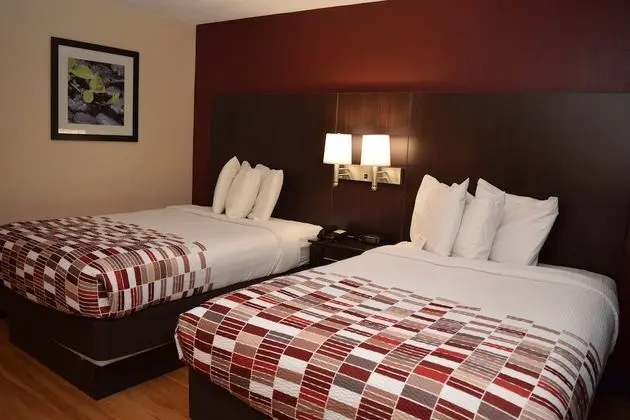 Deluxe Oda, 2 Çift Kişilik Yatak, Sigara İçilmez