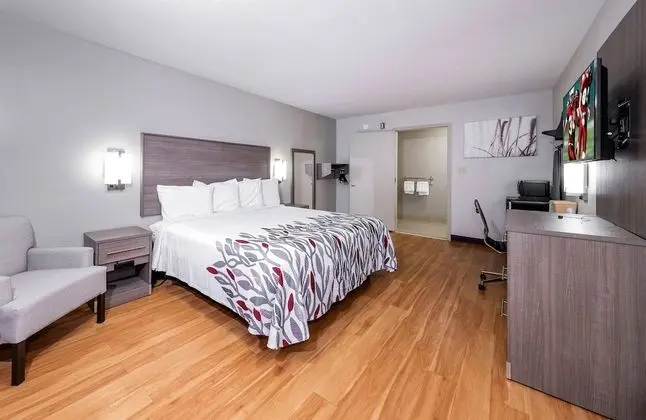 Deluxe Oda, 1 En Büyük (King) Boy Yatak, Engellilere Uygun (Smoke Free)