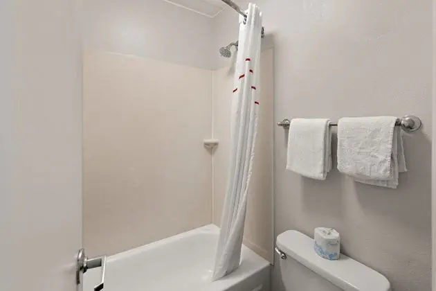 Deluxe Oda, 2 Çift Kişilik Yatak (Smoke Free)